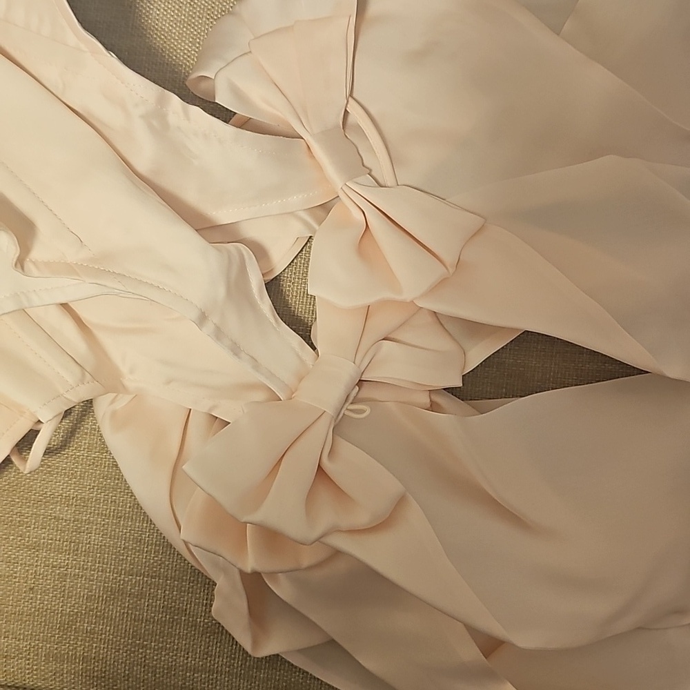 En Pointe Silk Paris Corset 1x - Picture 5 of 6